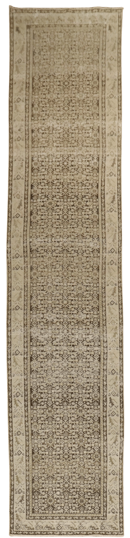 Malayer 
