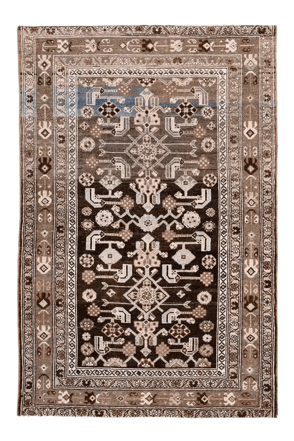 Malayer