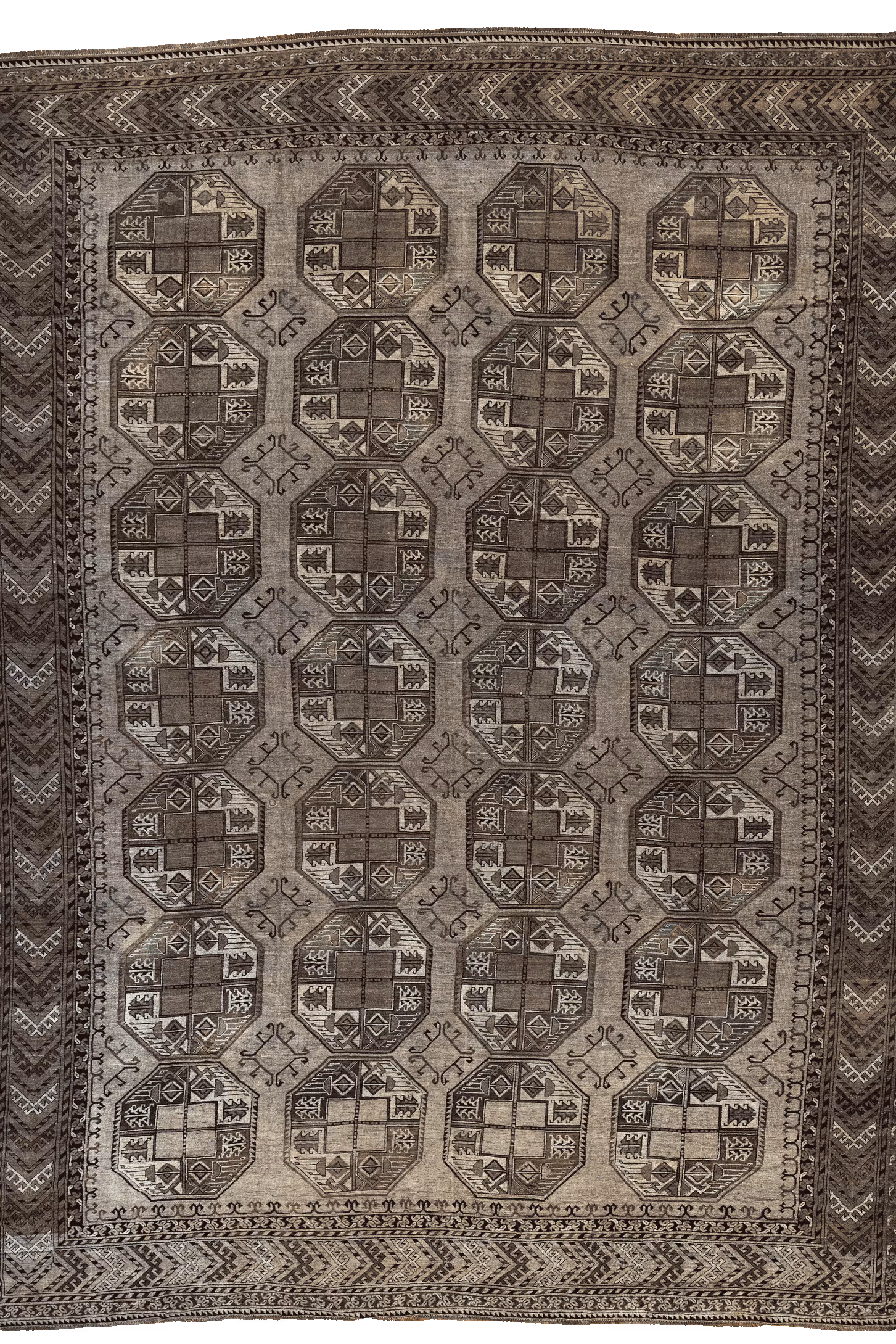 Afghan