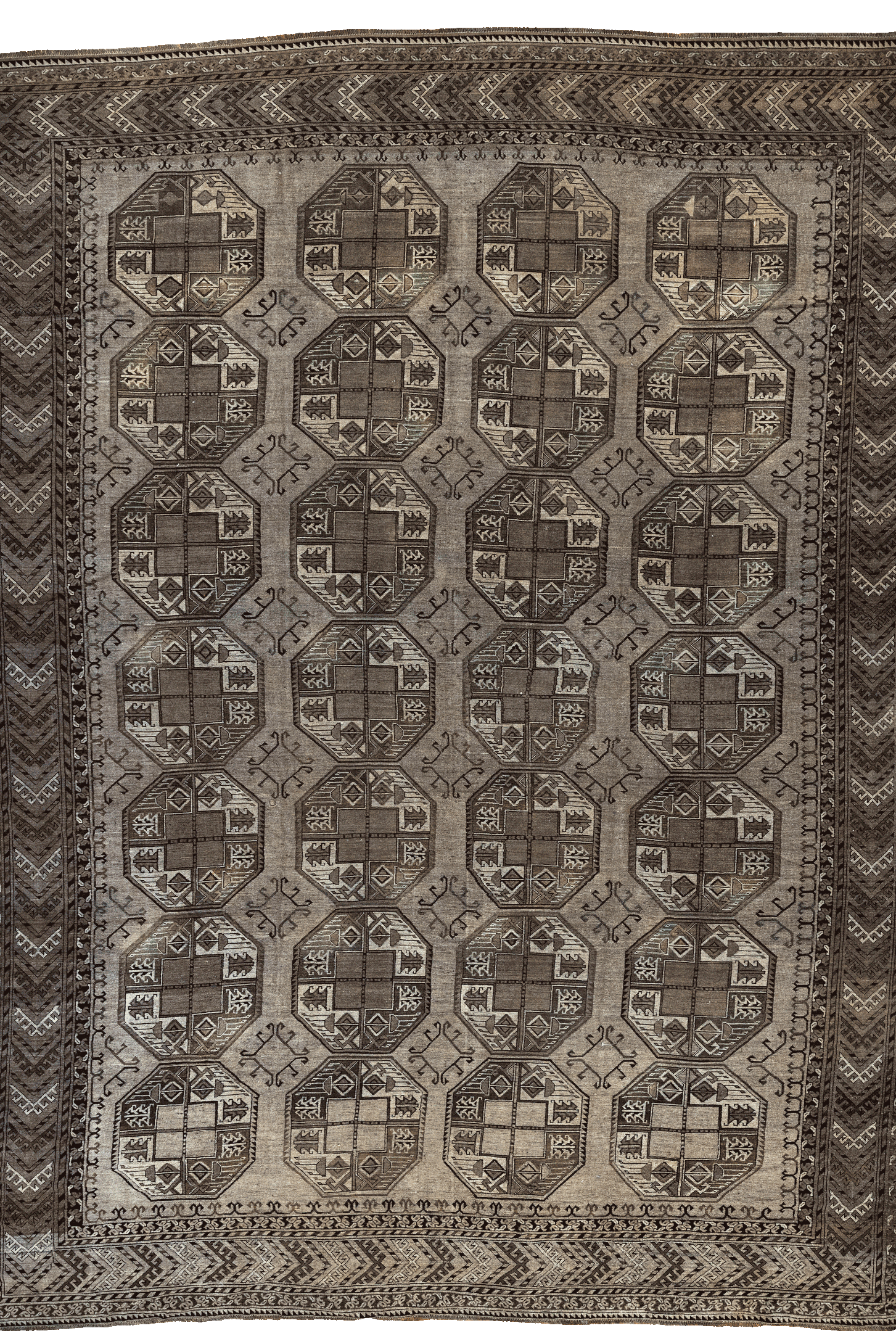 Afghan