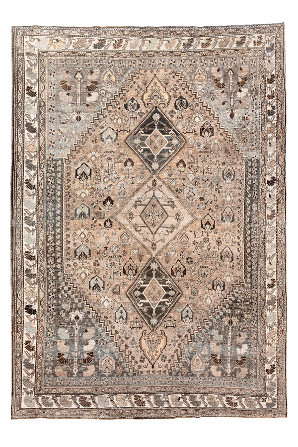 Shiraz