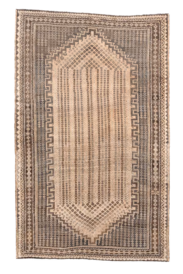 Shiraz
