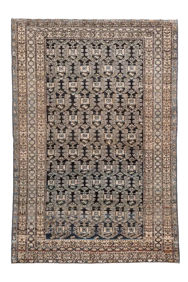 Malayer