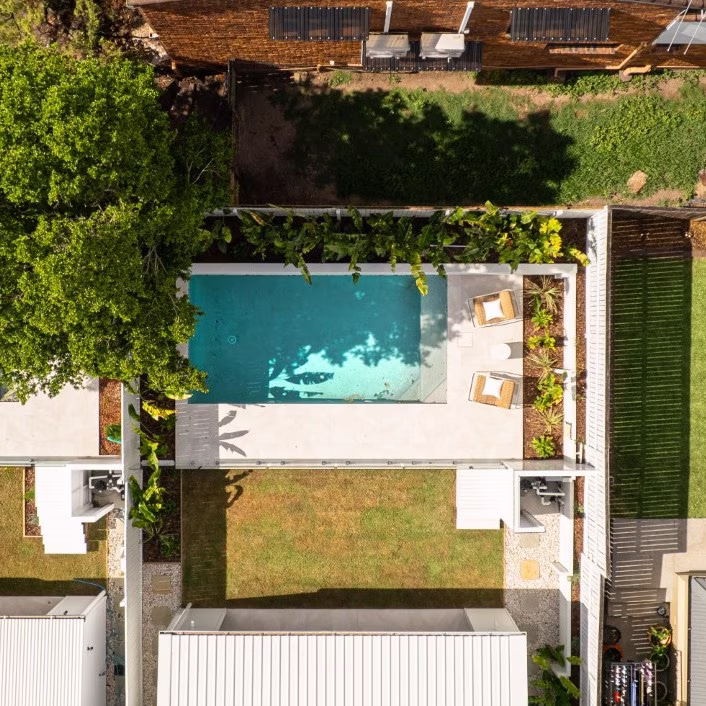Fashion model posing with a snake under bright lighting, showcasing bold creative photography and brand identity.