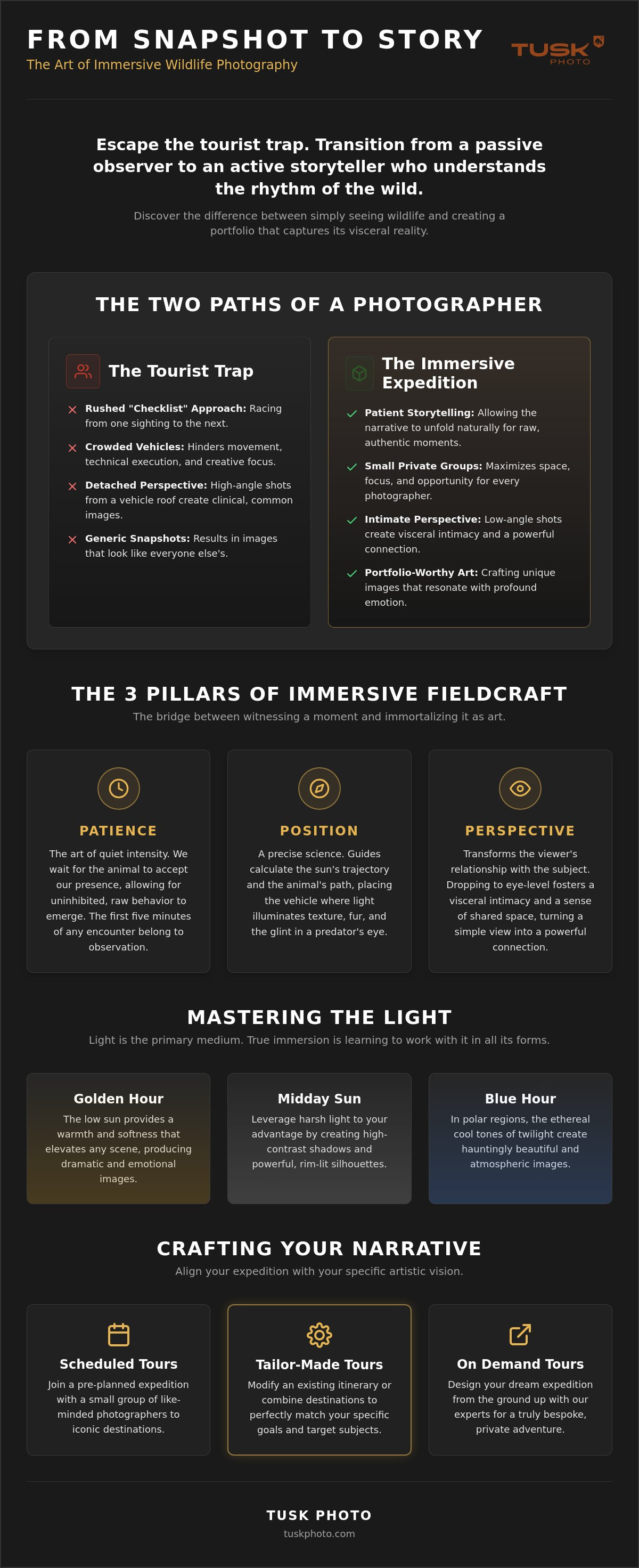 Immersive wildlife photography experience