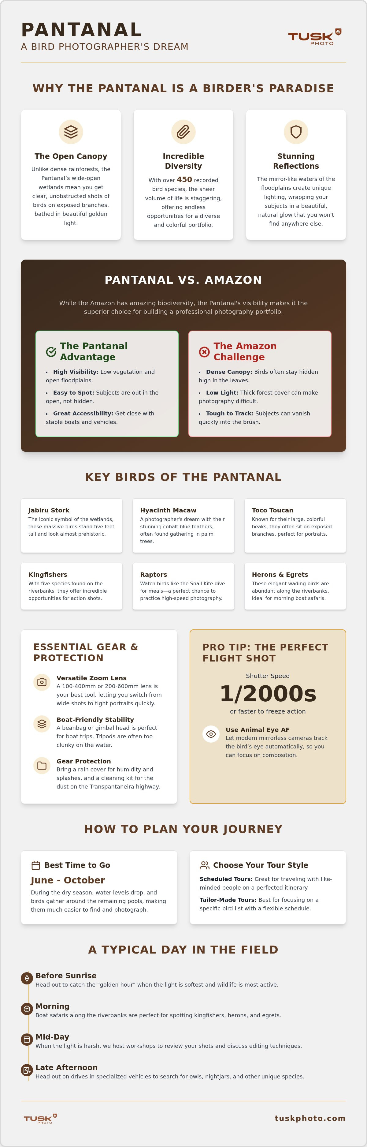 Pantanal bird photography tour