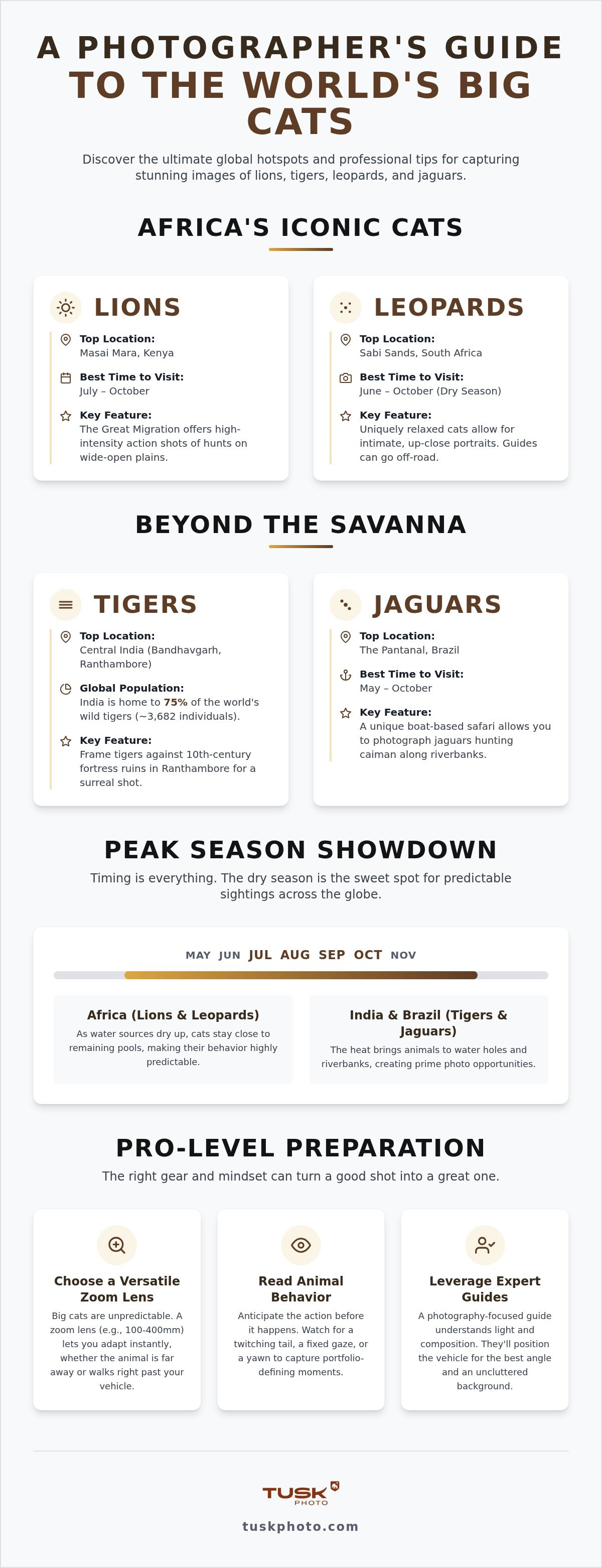 The best destinations to photograph all the big cats of the world.