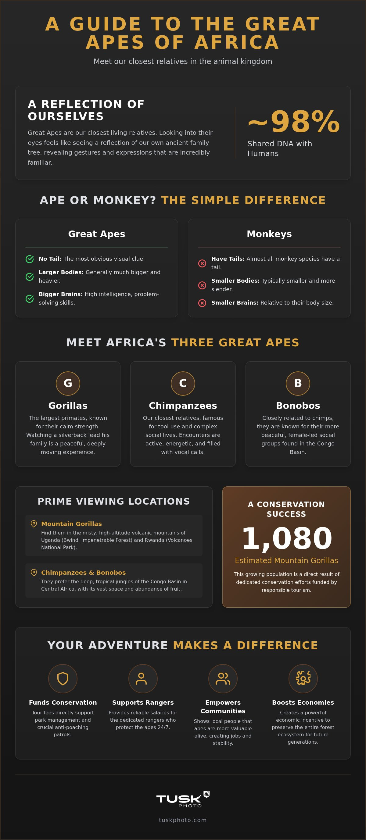 Learn about The Great Apes of Africa