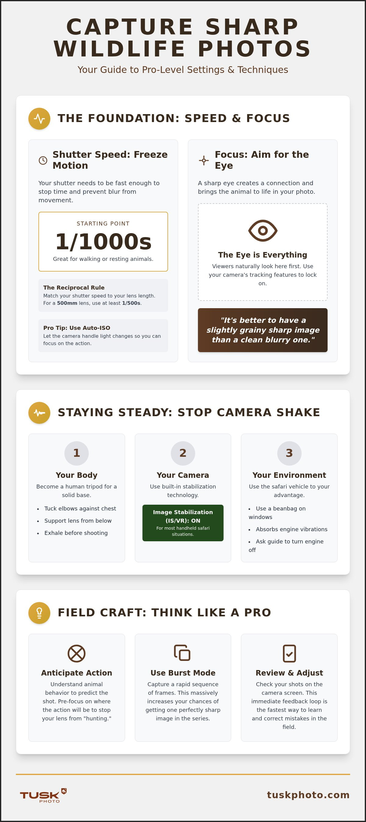 How to capture sharp wildlife images