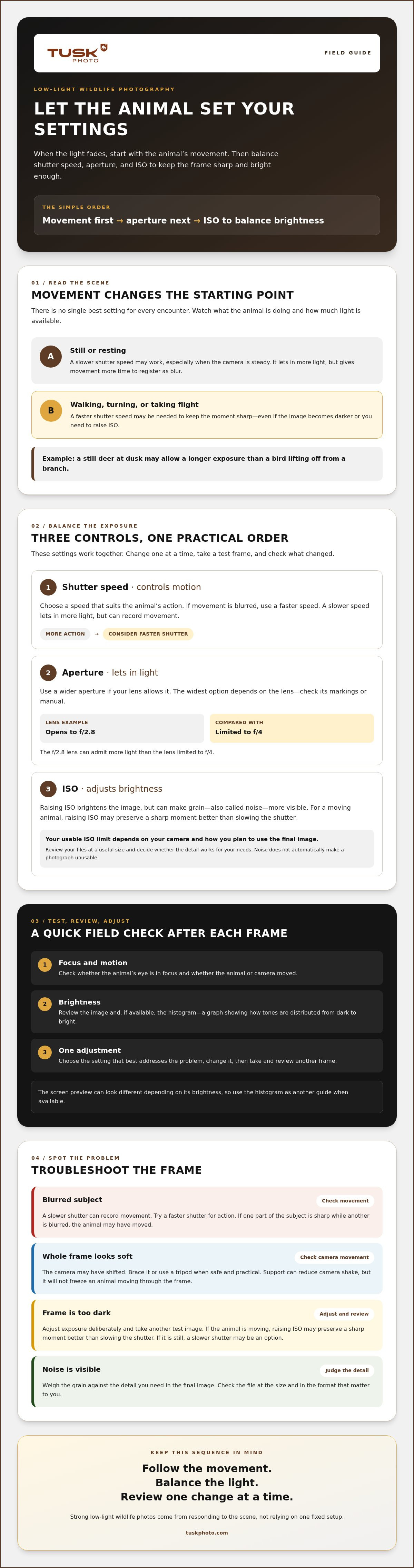 Camera settings for low light wildlife