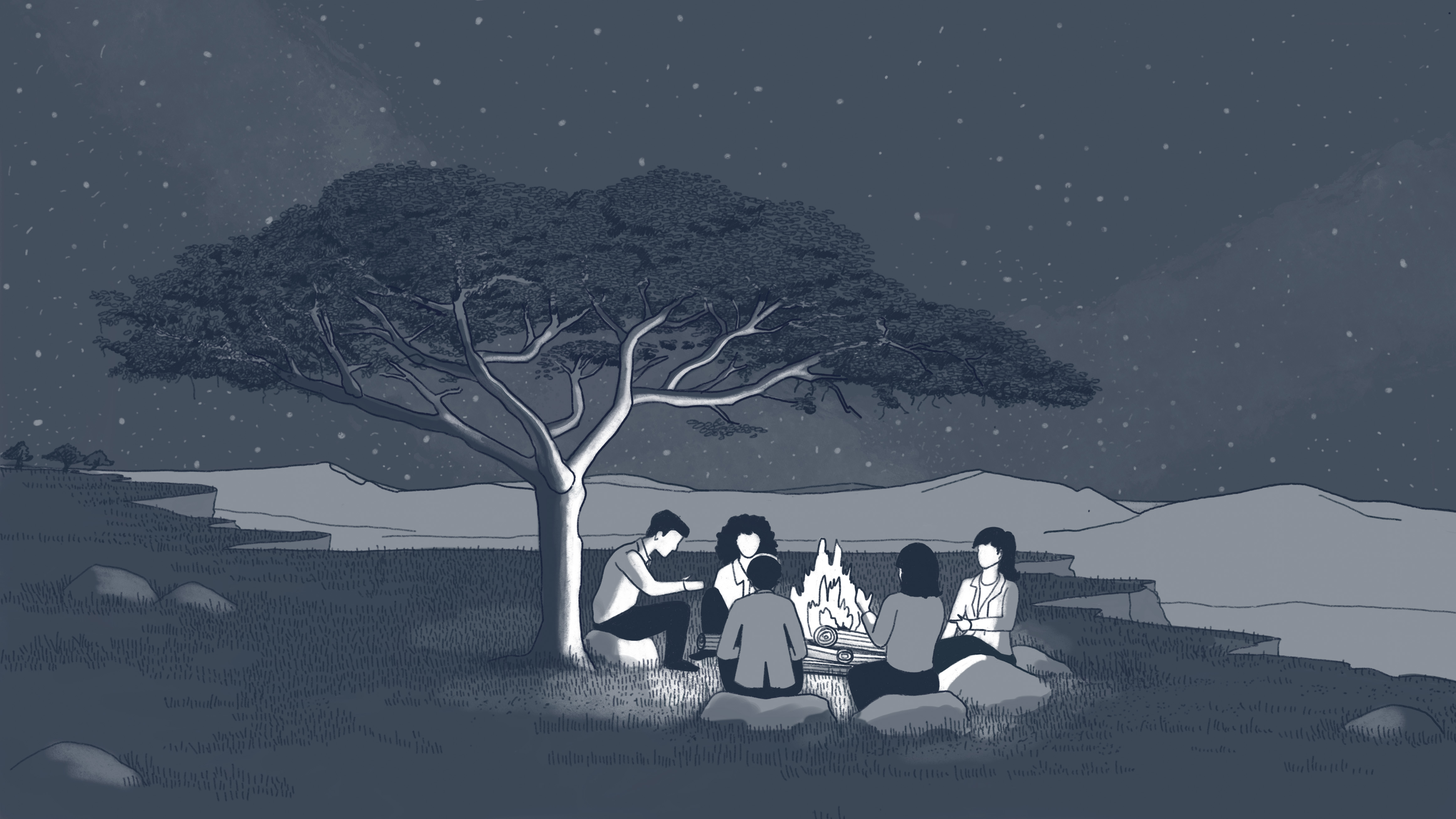 illustration forêt