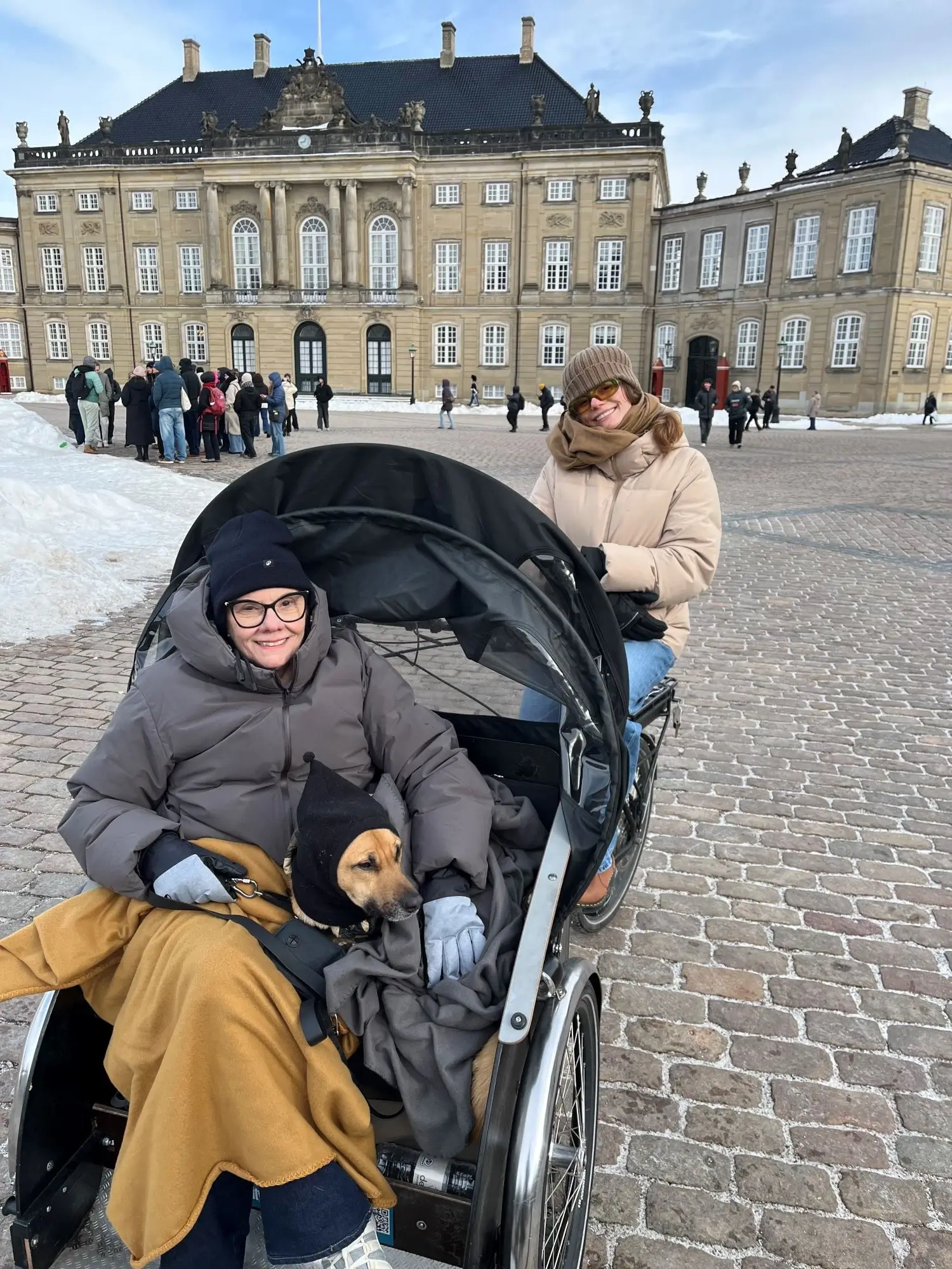 Woman in warm clothing sits in rickshaw with a dog covered in blankets, another woman pedals behind.