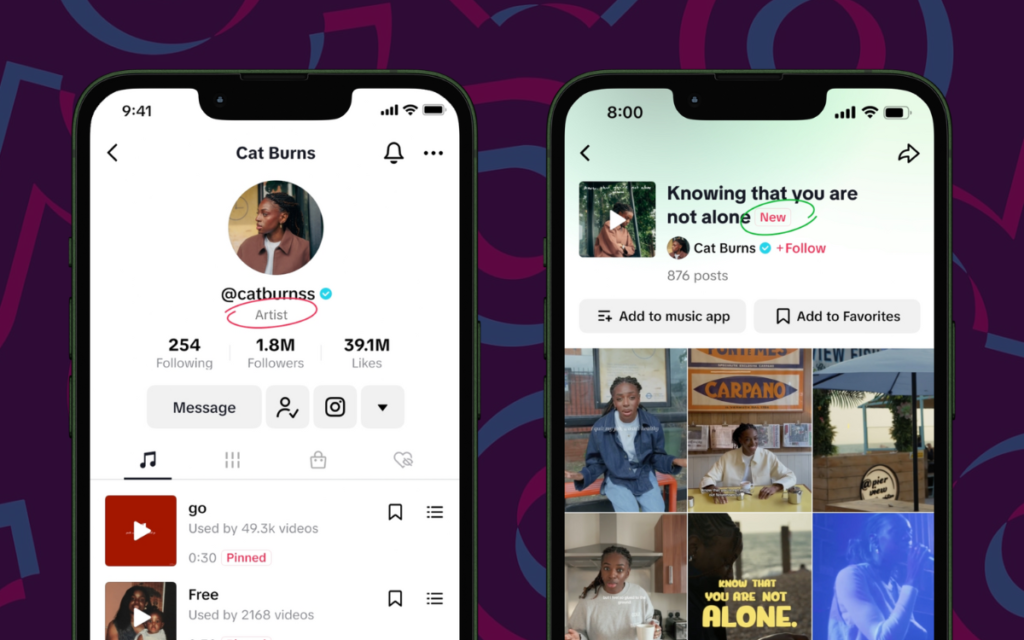 TikTok Artist Accounts