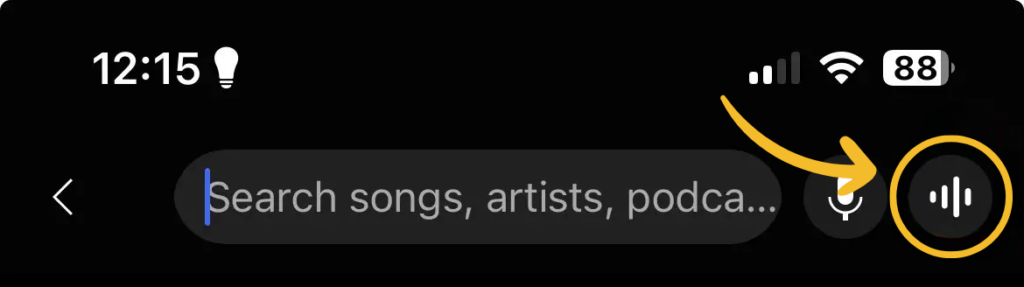 YouTube Music recognition