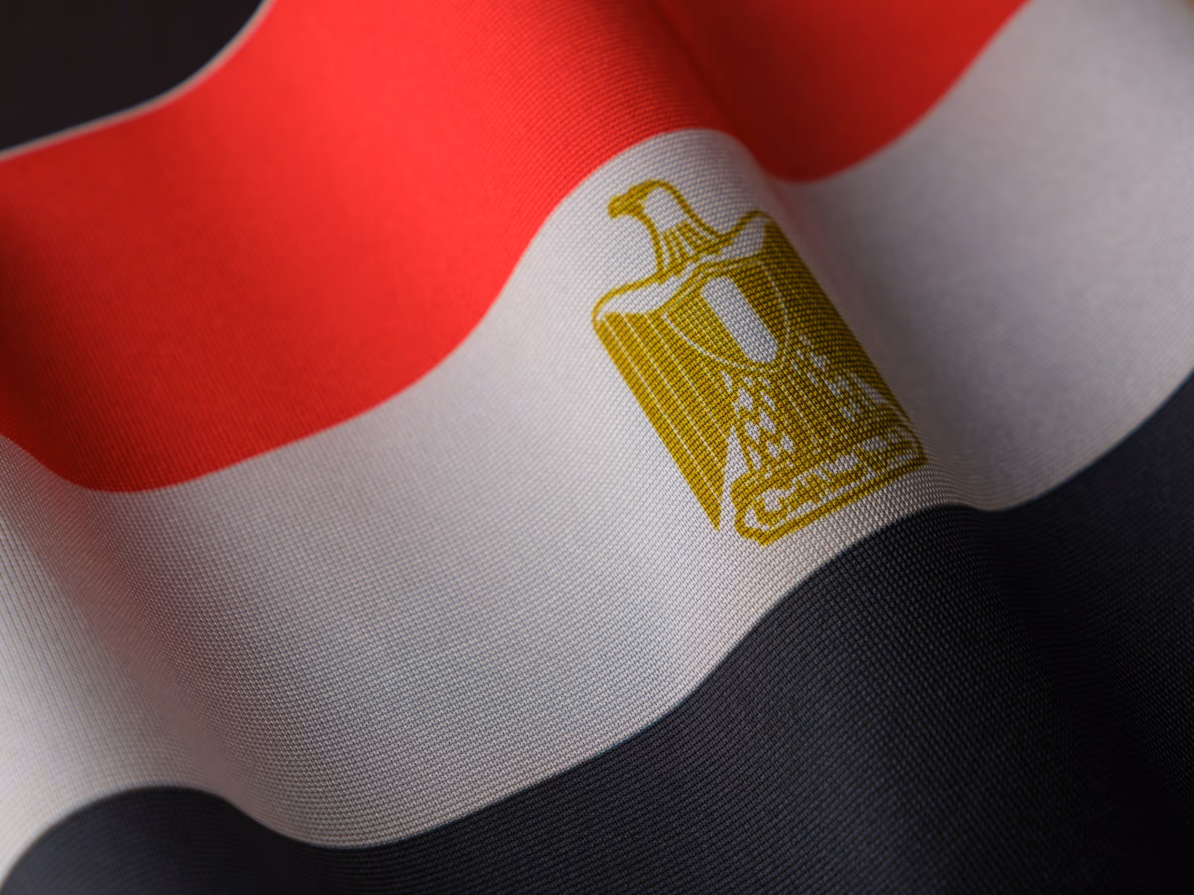 egyptian flag - Egyptian Labour Law