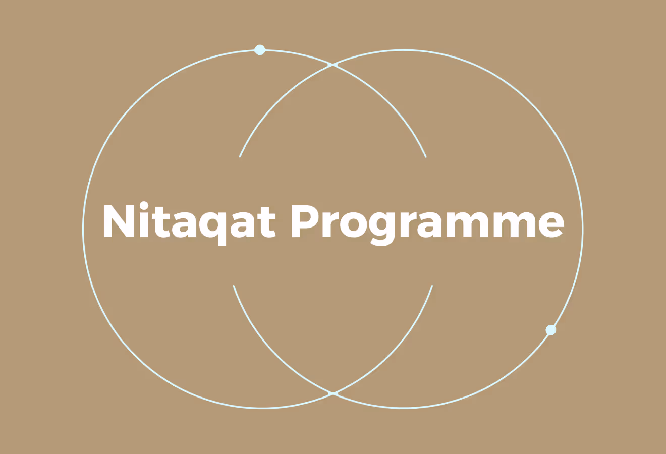 What is the Nitaqat Programme?