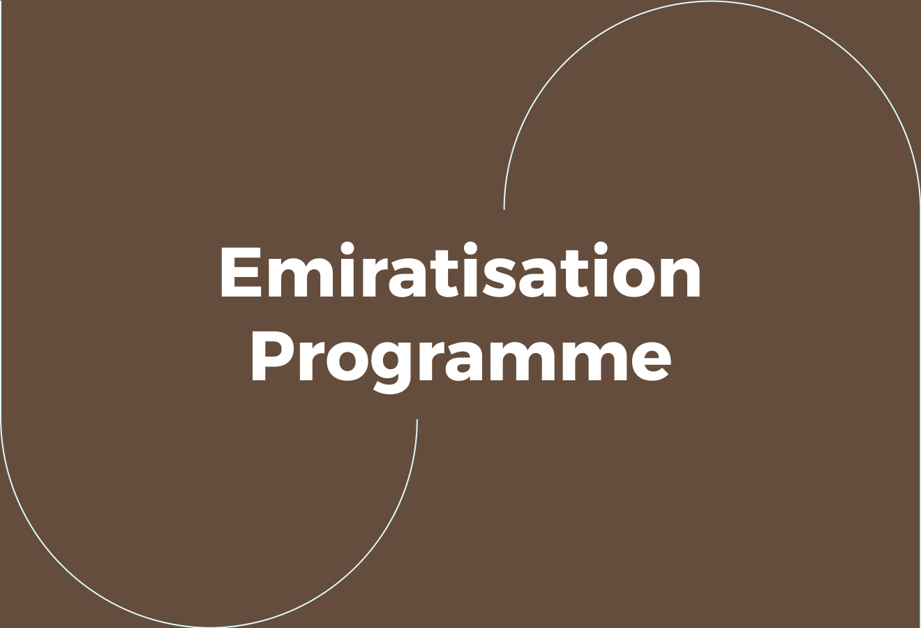 Emiratisation and National Talent Development