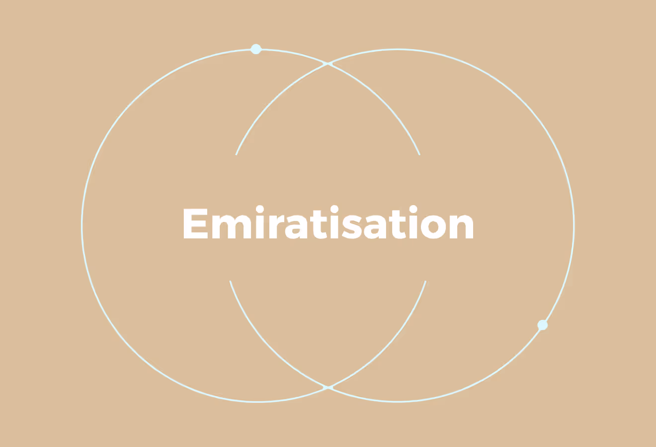 What Is Emiratisation