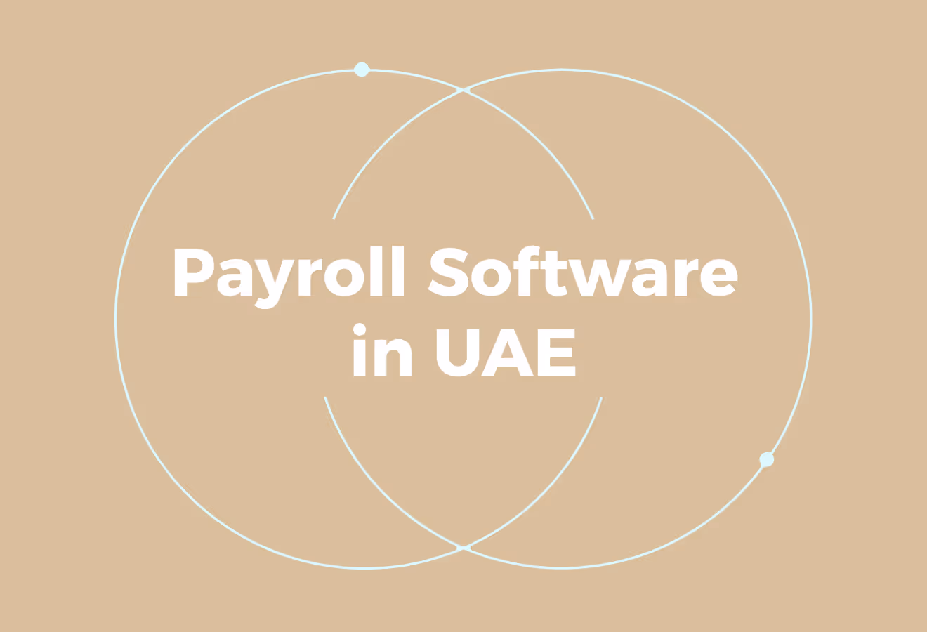Key Features to Consider in Payroll Software in the UAE