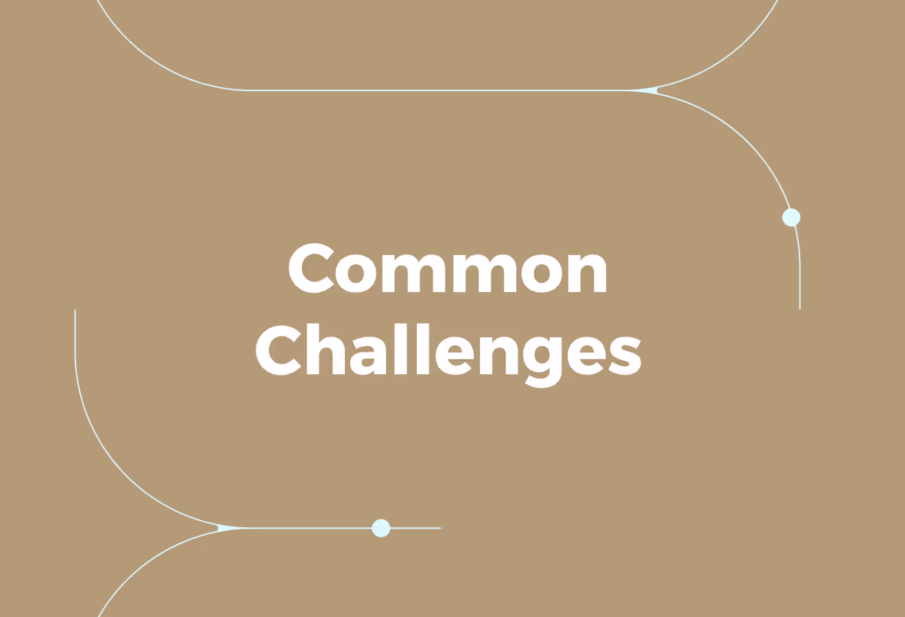 Challenges Companies Must Navigate