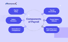 Components of Payroll - What Is Payroll Management In HR