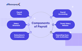 Components of Payroll - What Is Payroll Management In HR