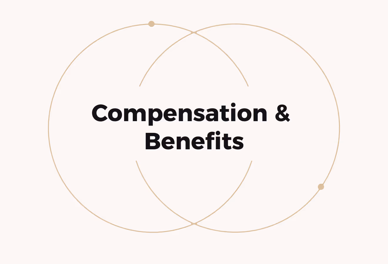 International Compensation and Benefits (Build a Fair and Competitive Global Pay Strategy)