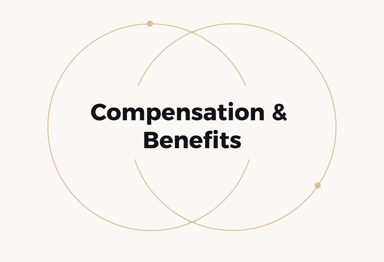 International Compensation and Benefits (Build a Fair and Competitive Global Pay Strategy)