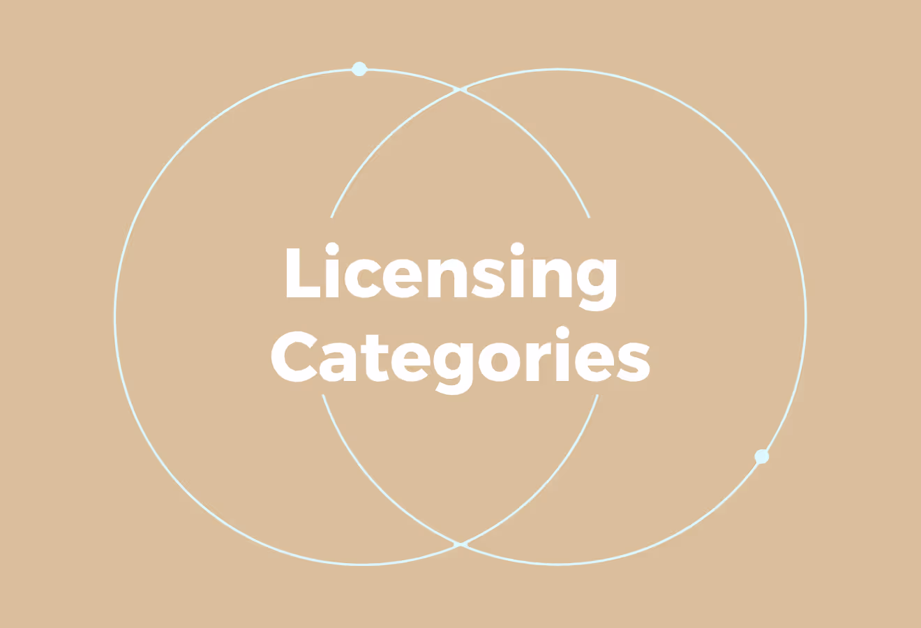 Licensing Categories Available in the Dubai Mainland
