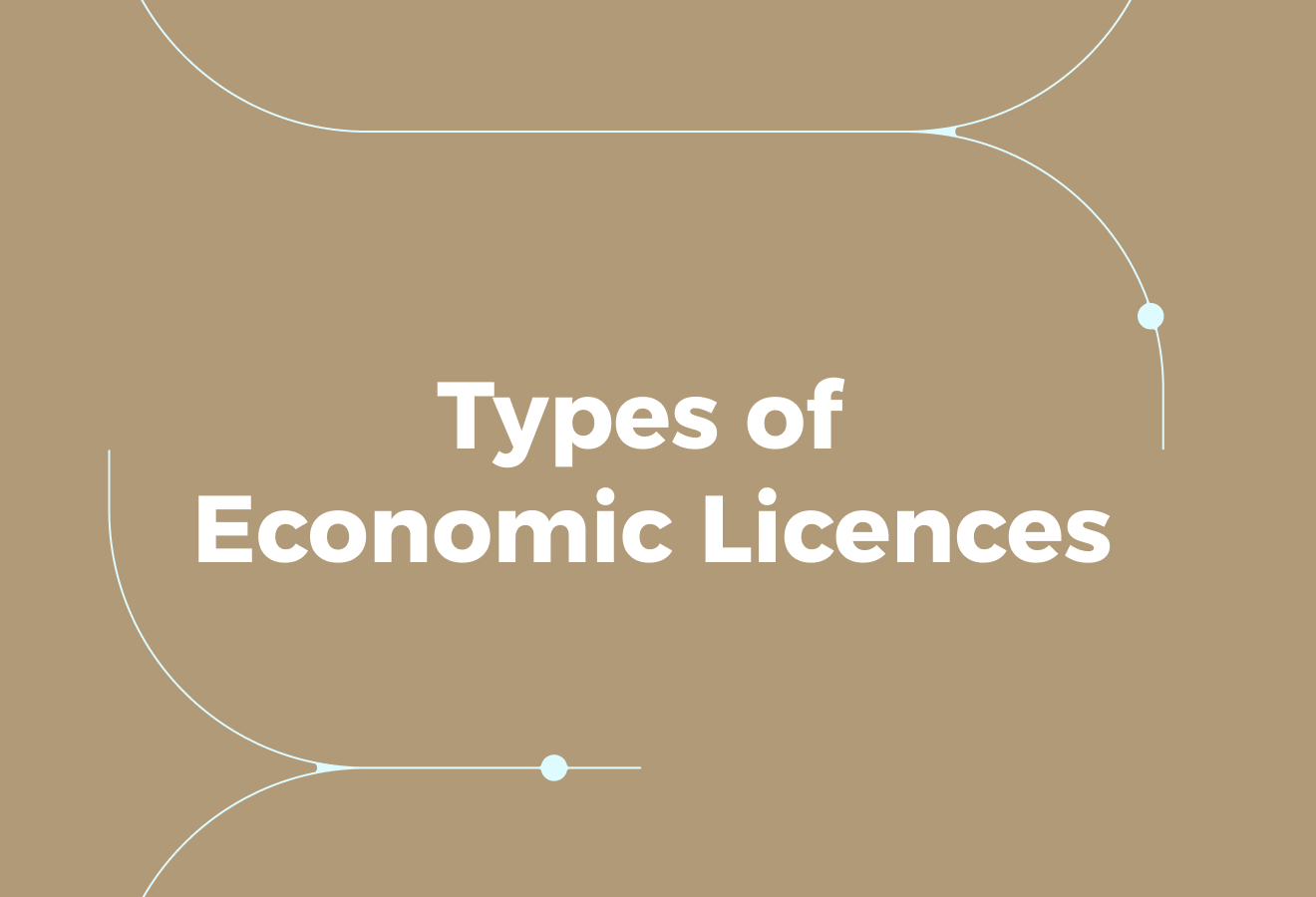 Main Types of Economic Licences in the UAE