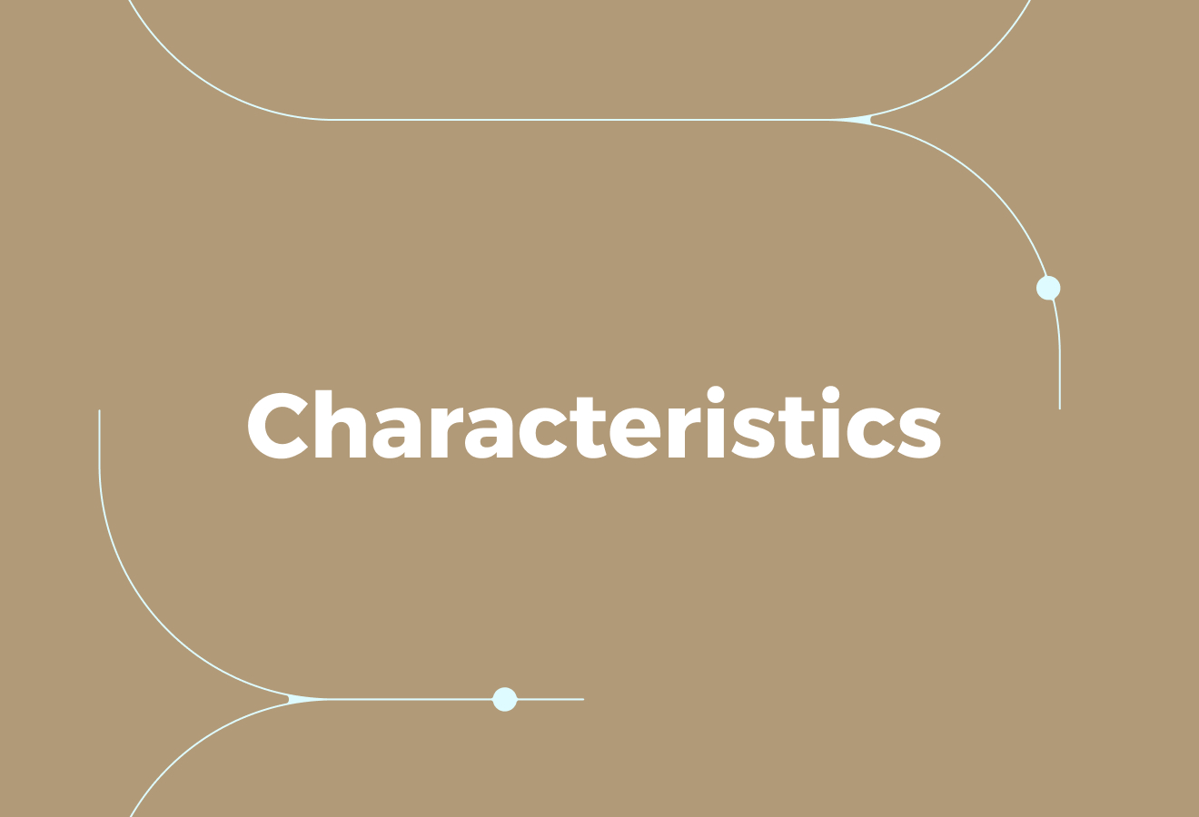 Characteristics of the Best Job Descriptions