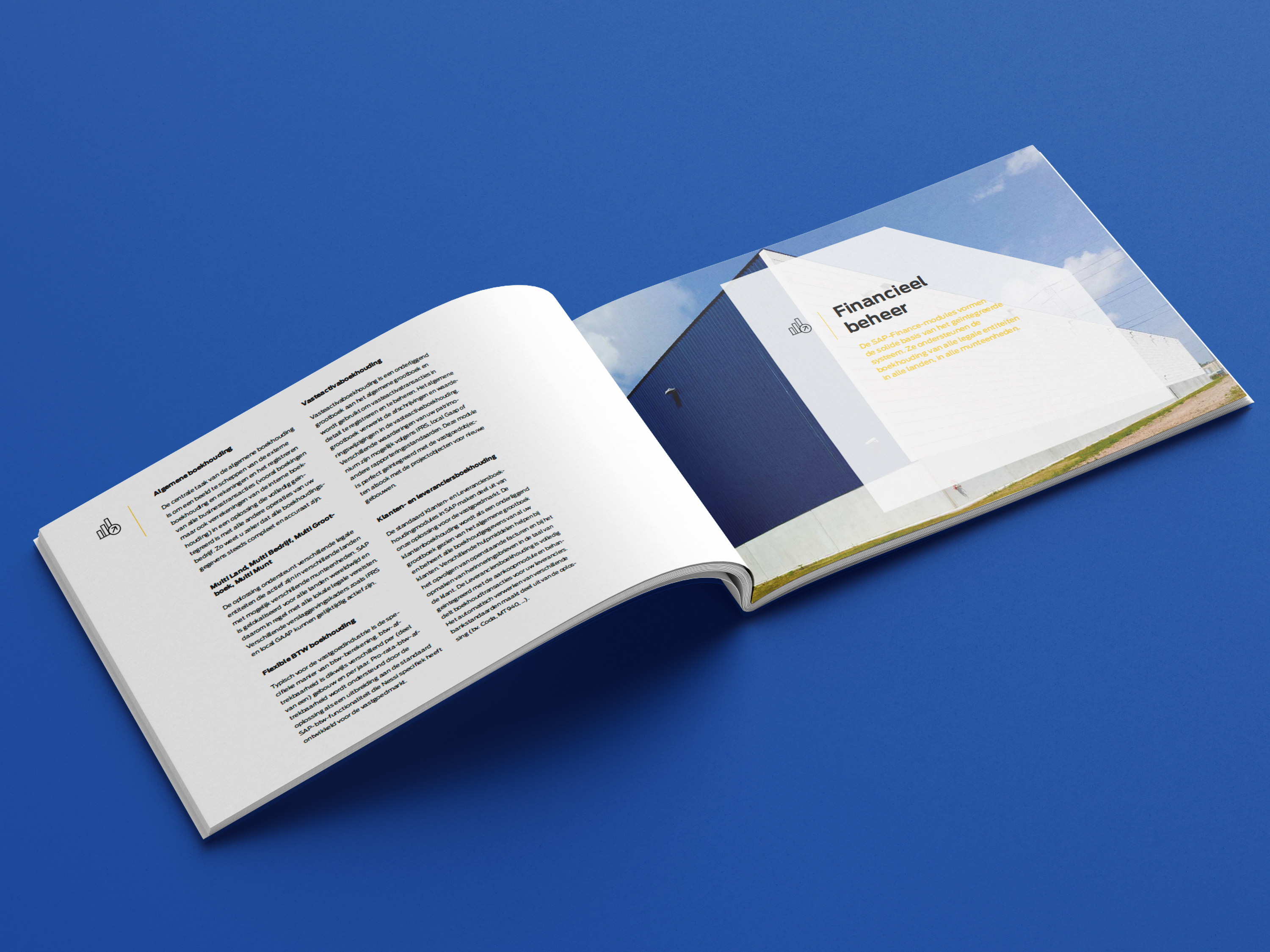 Professioneel ontworpen brochure voor Nessi, een SAP boutique consulting firm, ontwikkeld door Umbau voor een sterke merkpositionering.