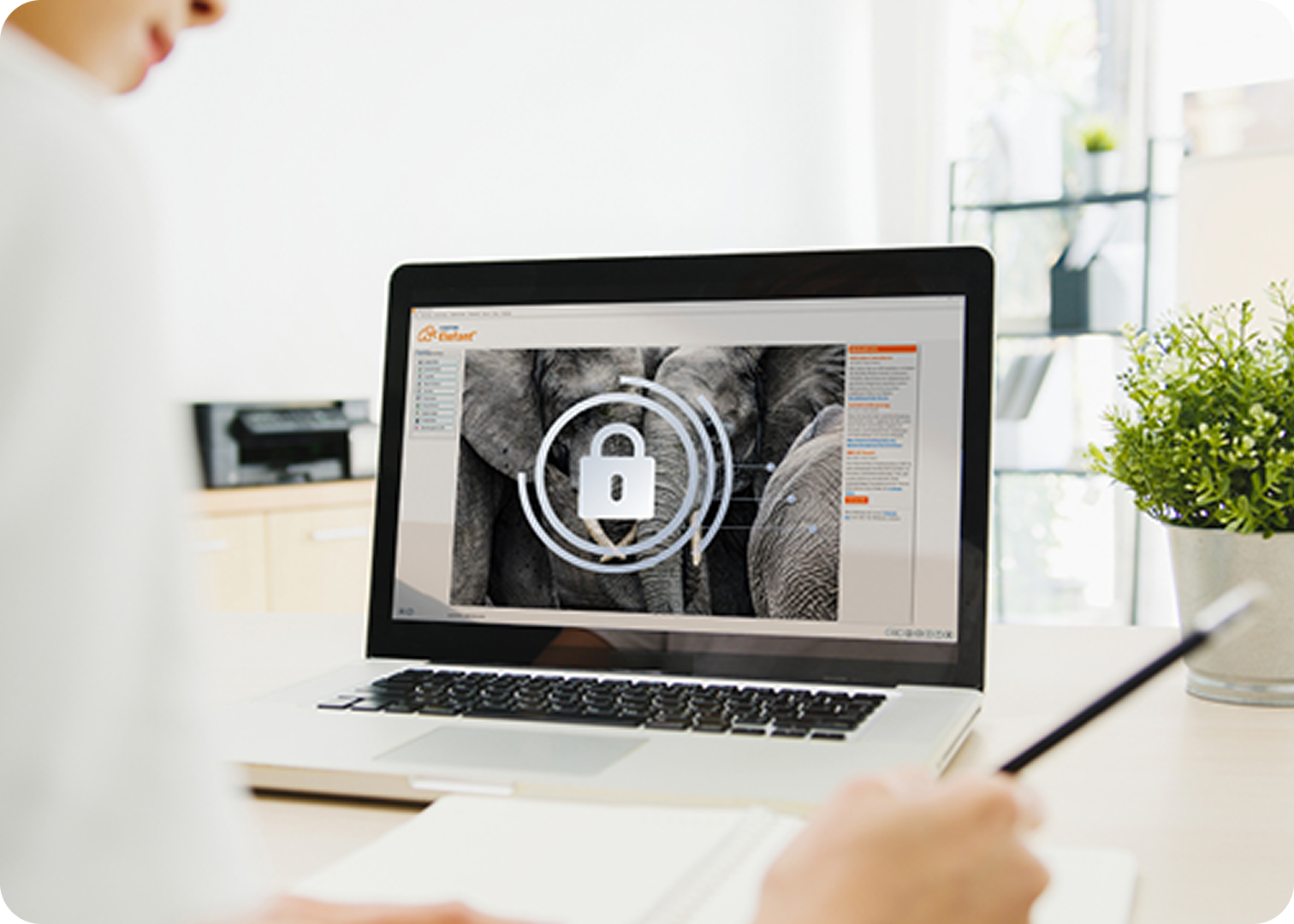 Computerbildschirm zeigt die Dokumentation in der Software Elefant®, während eine Person auf einer Tastatur tippt.