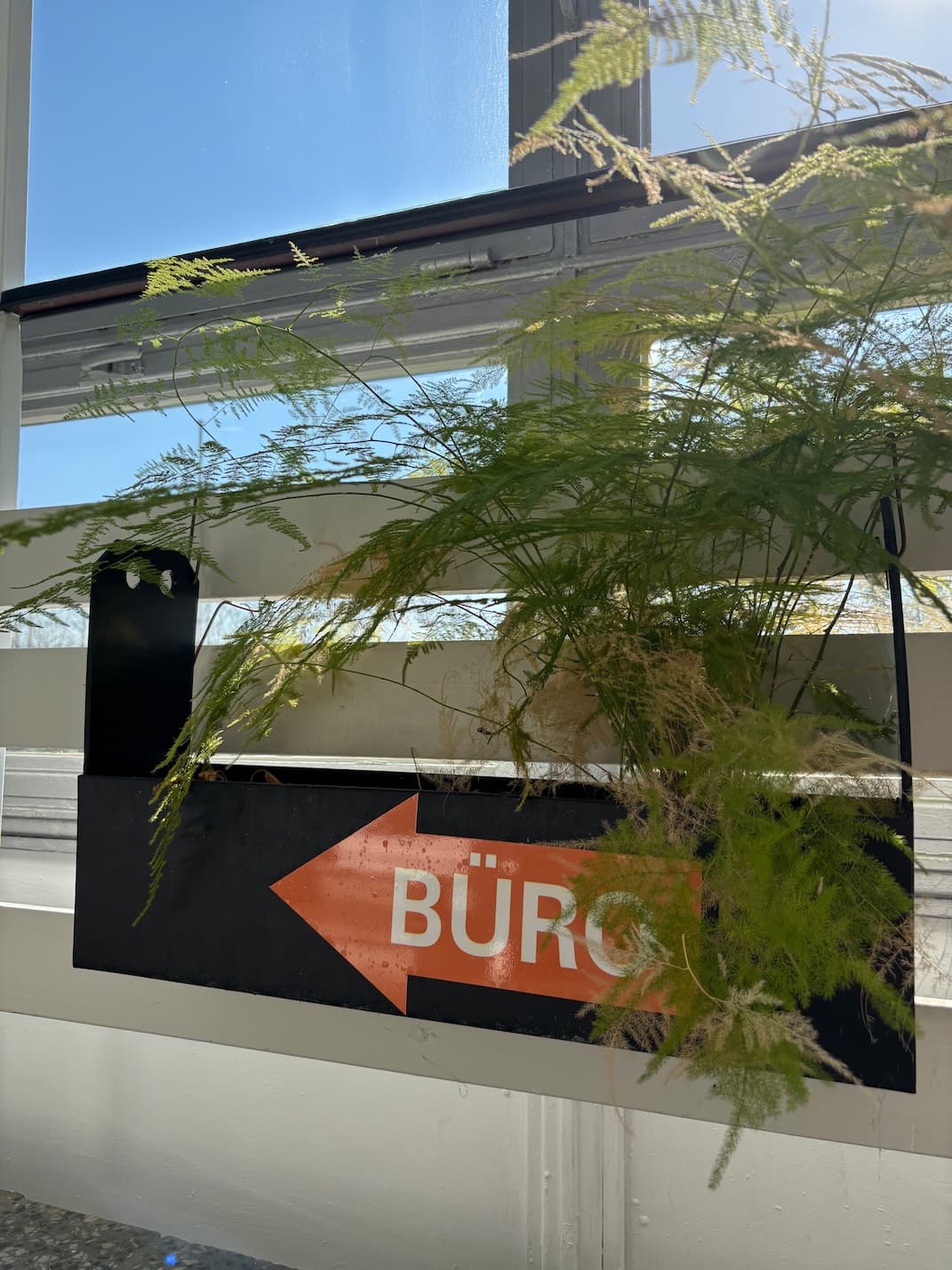 Schwarzer Wegweiser mit rotem Pfeil und der Aufschrift “BÜRO”, teilweise verdeckt von einer Zimmerpflanze, im Sonnenlicht vor einem Fenster