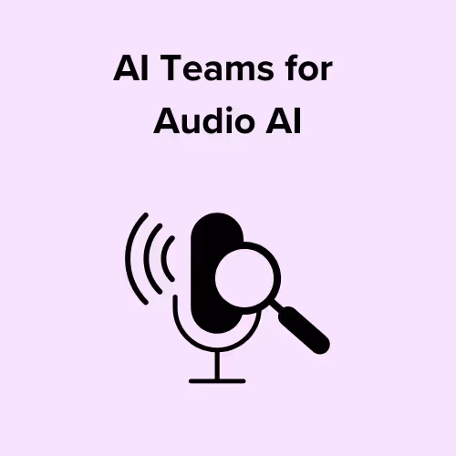 AI teams to build Audio AI