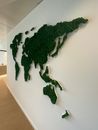 World map