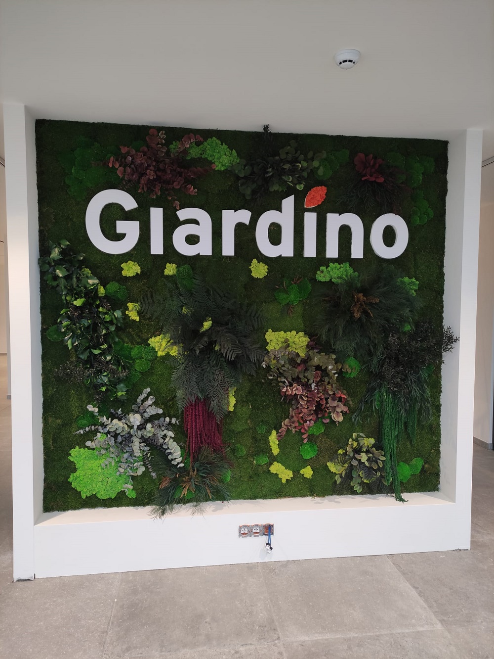 Giardino
