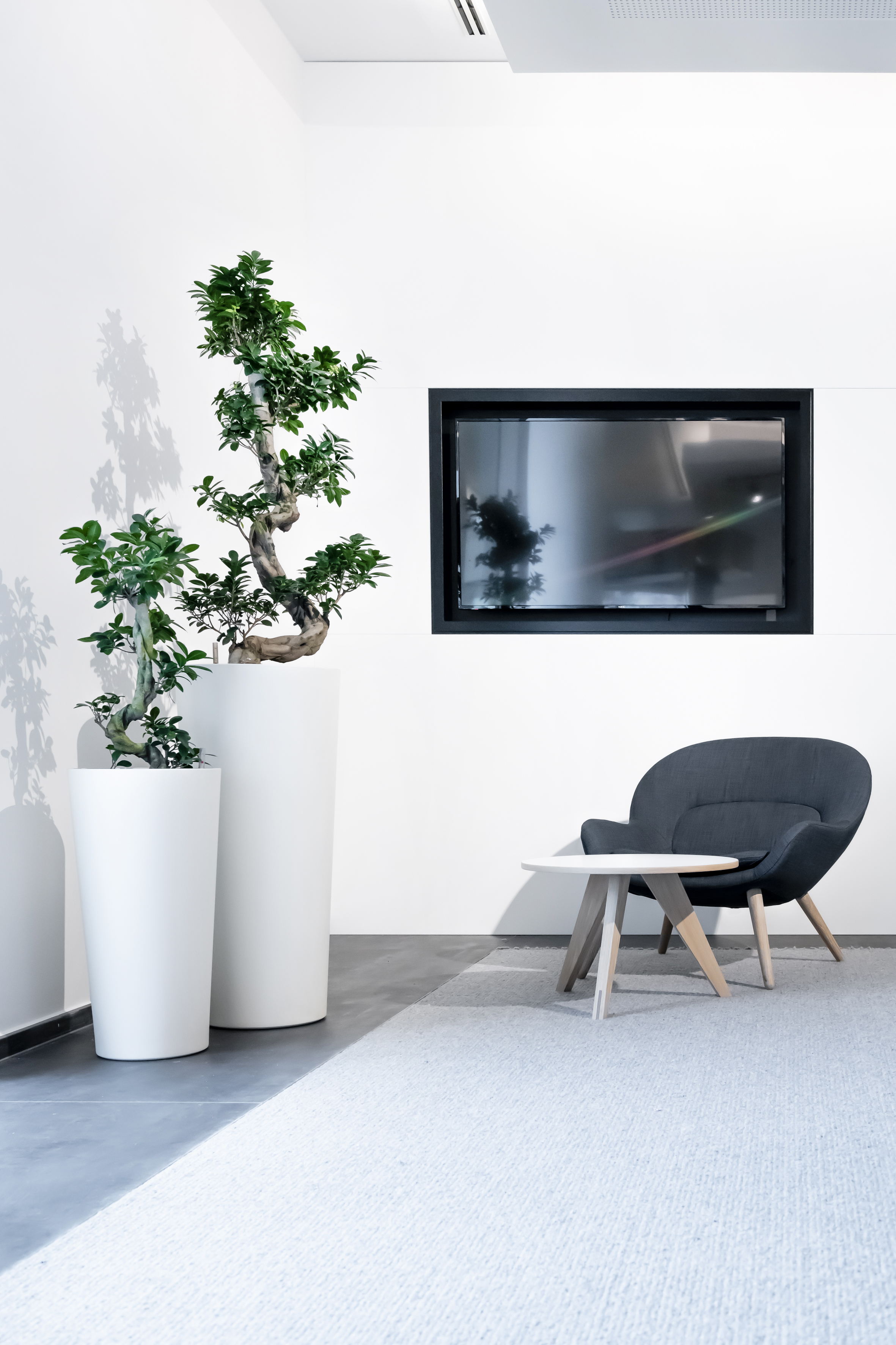 wachtruimte kantoorplanten combi 2