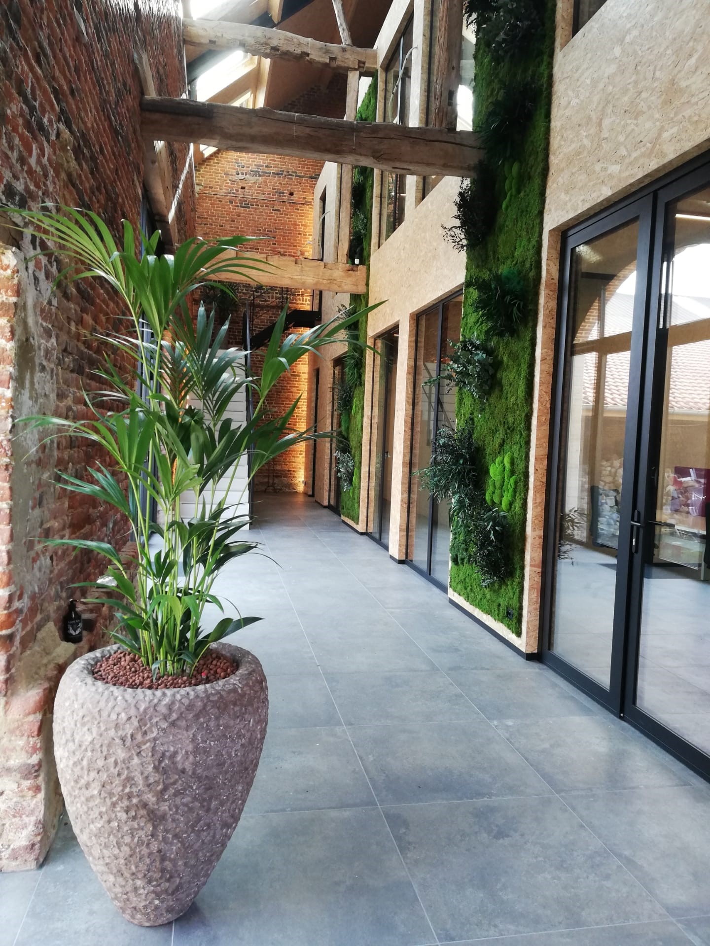 kantoorplant + moswand - St. Truiden