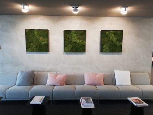 moskaders wachtruimte 1