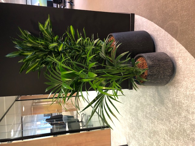 combinatie 2 plantenbakken 2