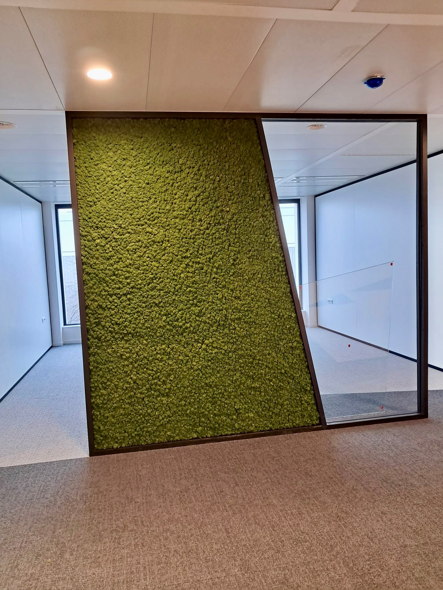 moswand rendiermos gang