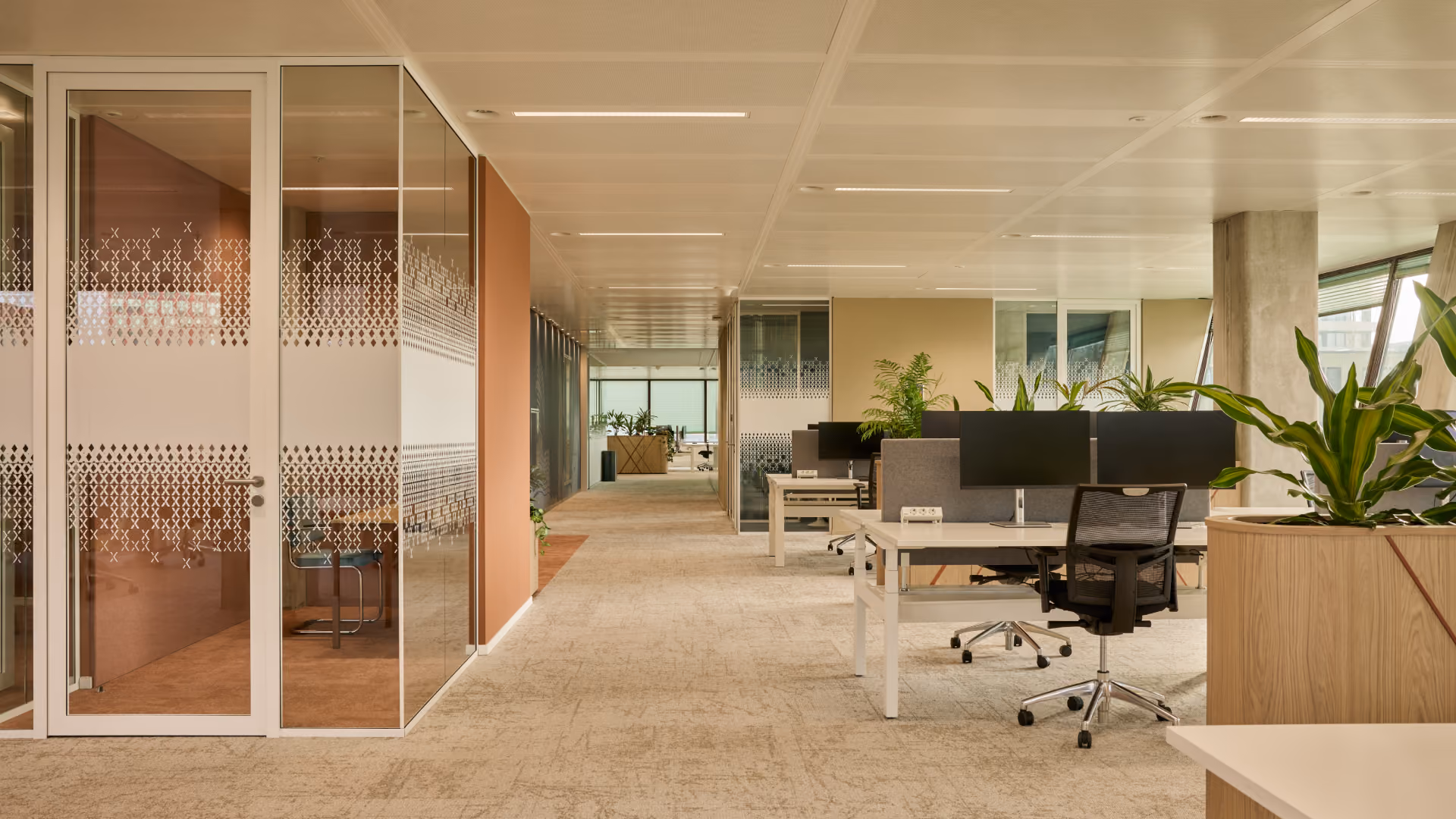 Modern kantoorruimte met open werkplekken en computers op witte bureaus, stoelen met wieltjes en planten verspreid langs de ruimte, met glazen vergaderruimte aan de linkerkant.
