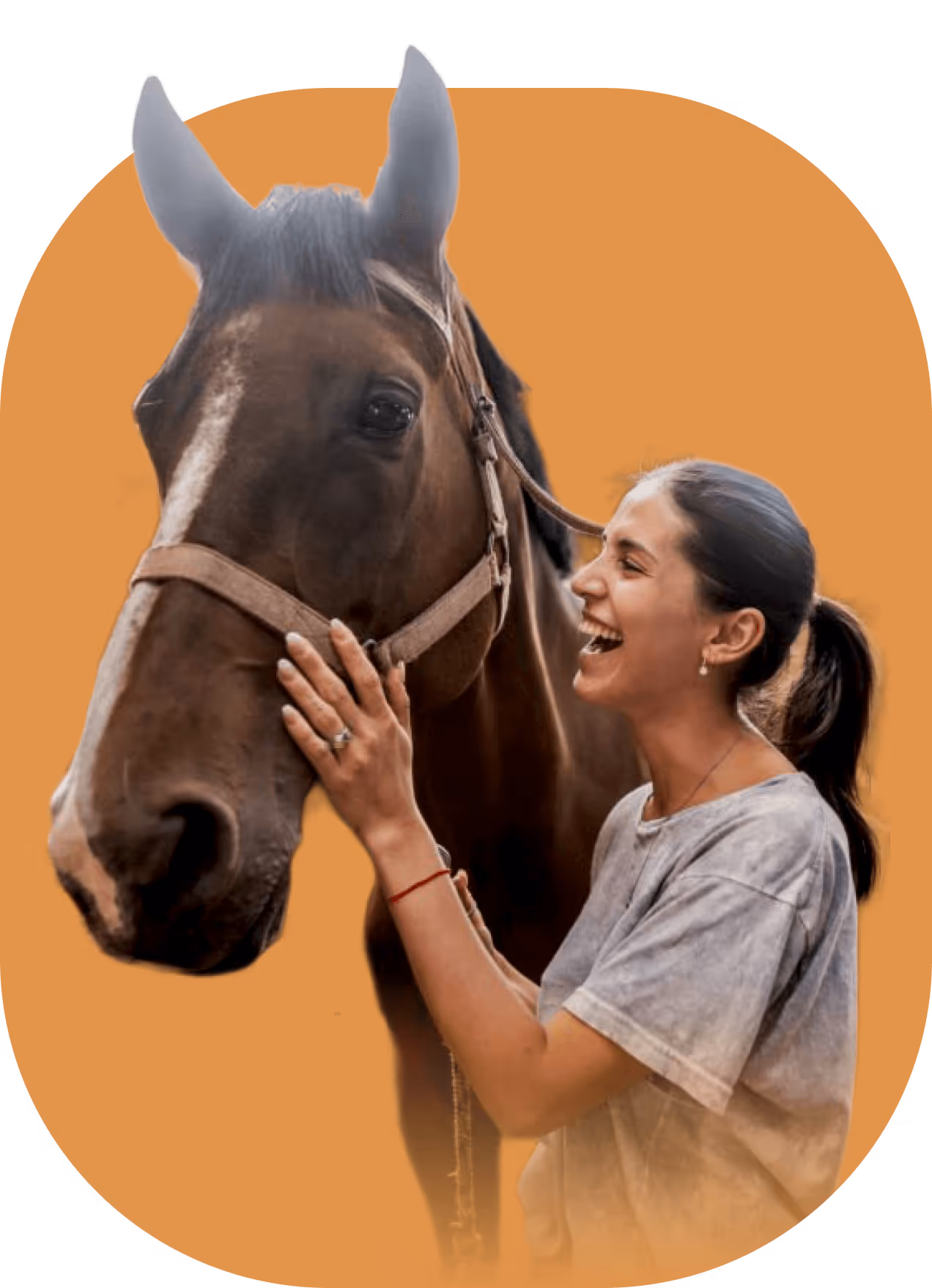 Junge Frau mit Pferd auf orangem Hintergrund – Mensch-Tier-Verbindung im Mittelpunkt