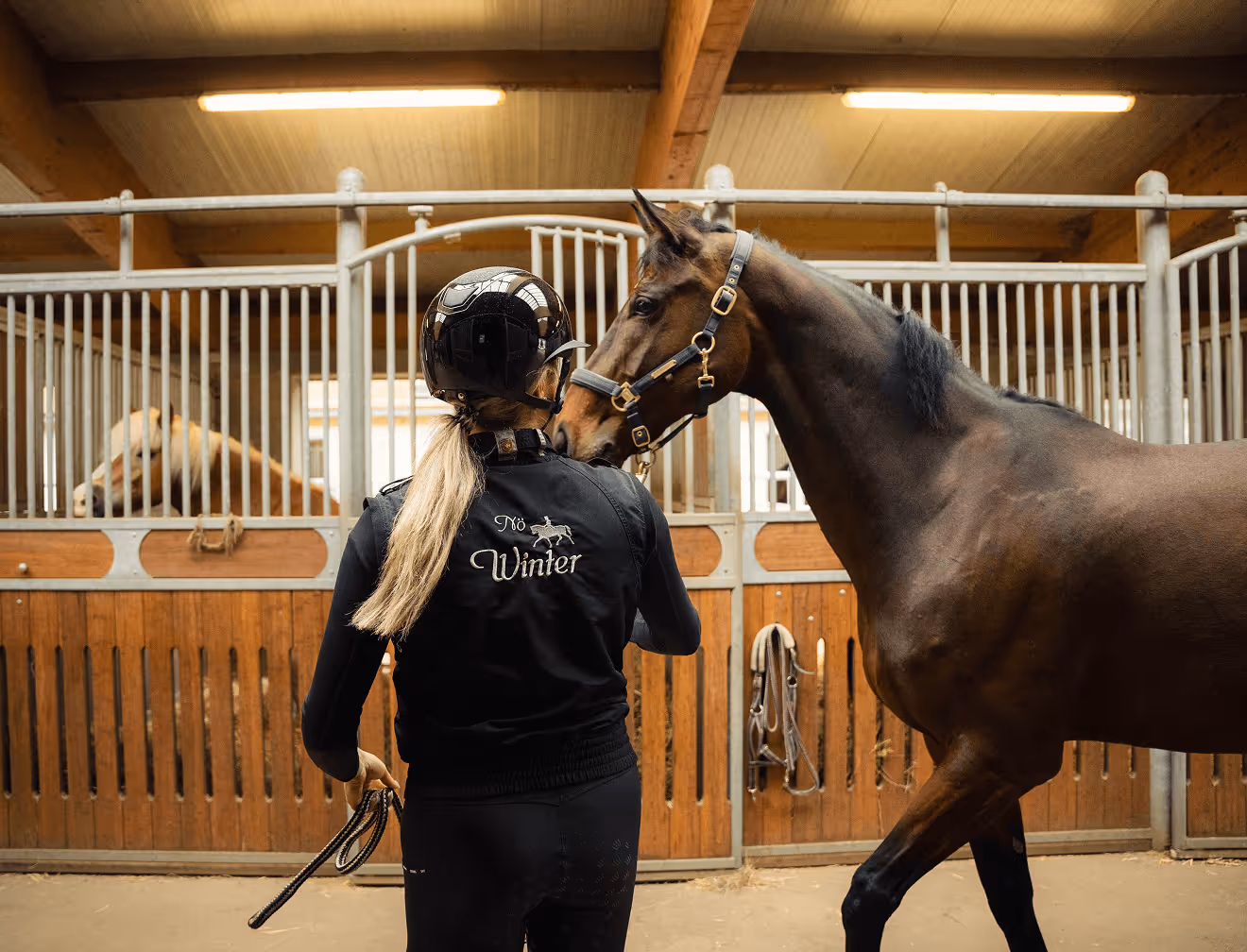 Trainerin mit Pferd in der Reithalle – Equivital Kurs im praktischen Einsatz