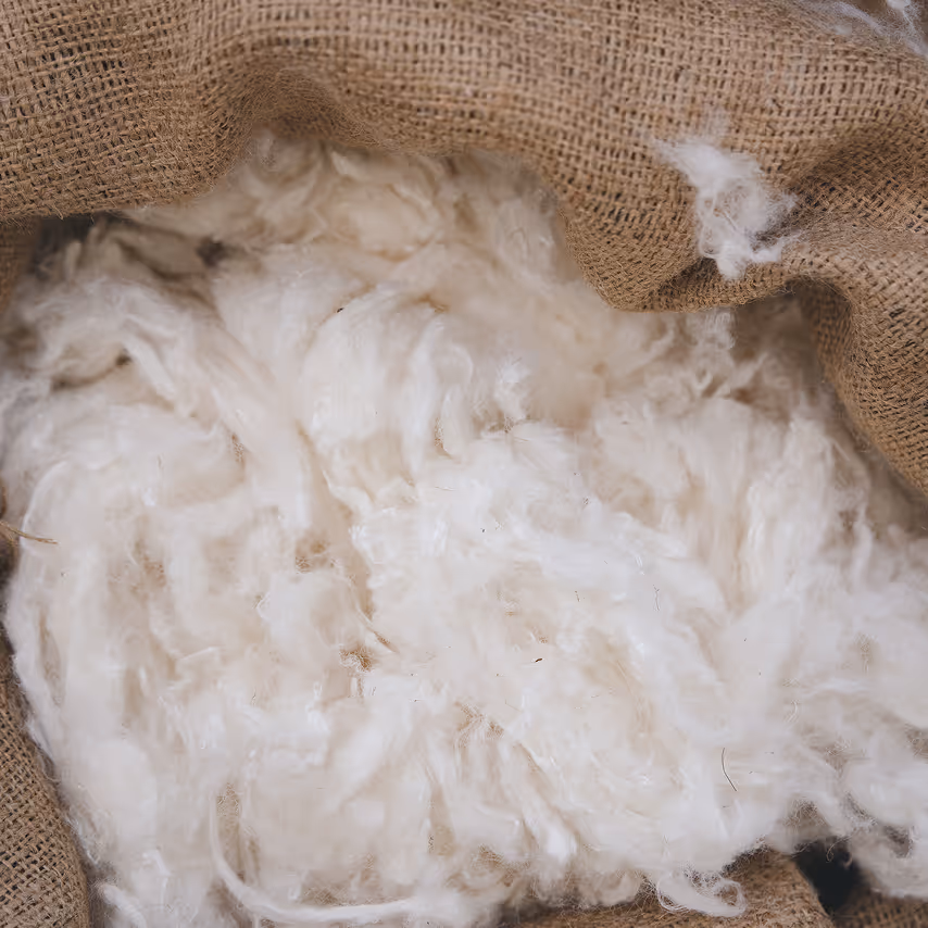 Lana interna del materasso Materia