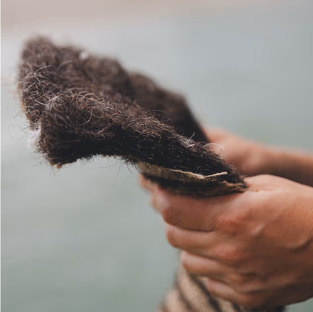 A hand holding a piece of wool.