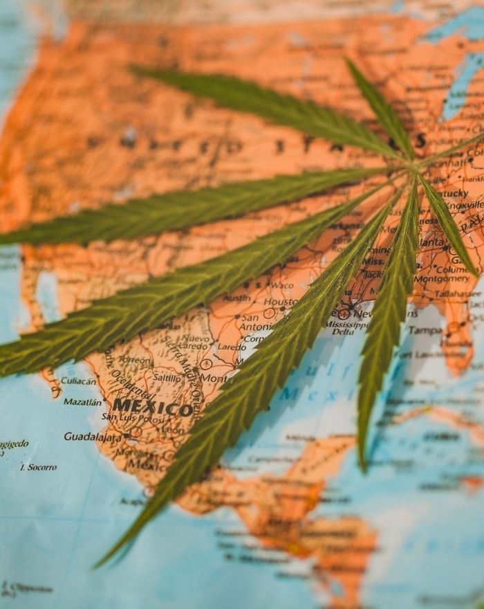 A large marijuana leaf overlaying a map of Mexico and the United States.
