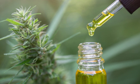 CBD dropper with CBD oil in front of a hemp flower