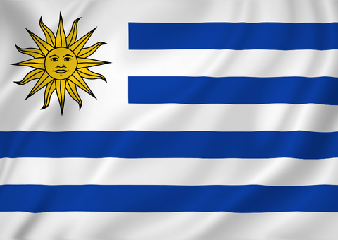 Uruguay Weed Laws: A Model of Progressive Legalization